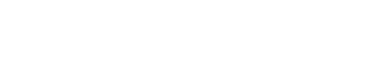 Disney Cruise Line logo